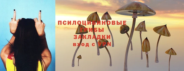 мдпв Дмитров