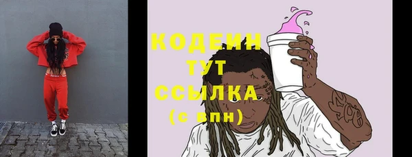 прущая мука Дмитриев