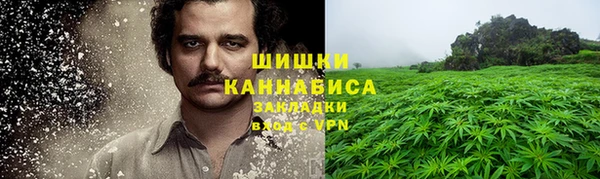 прущая мука Дмитриев