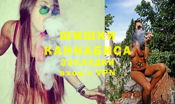 мдпв Дмитров