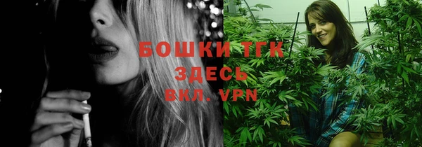мдпв Дмитров